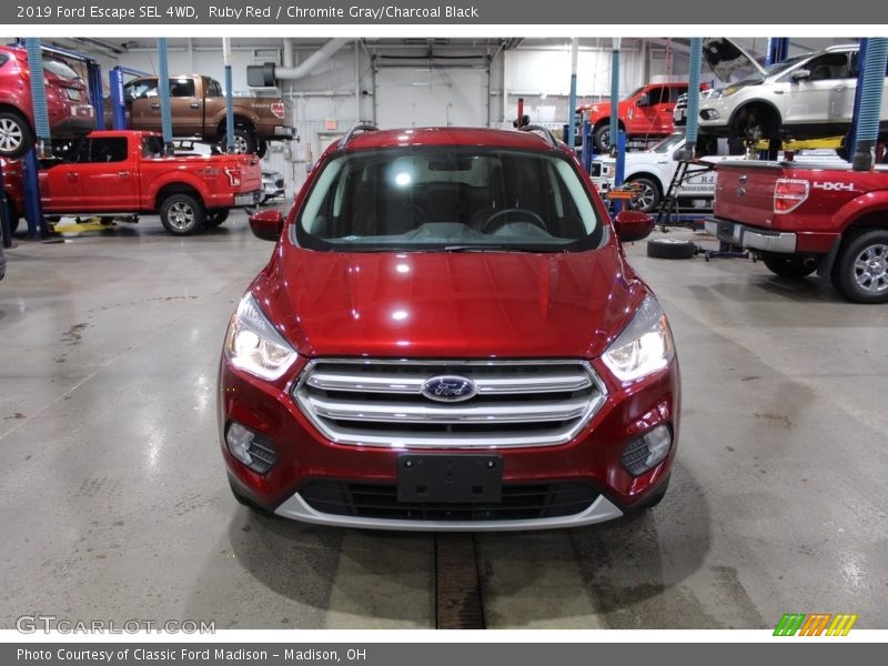 Ruby Red / Chromite Gray/Charcoal Black 2019 Ford Escape SEL 4WD