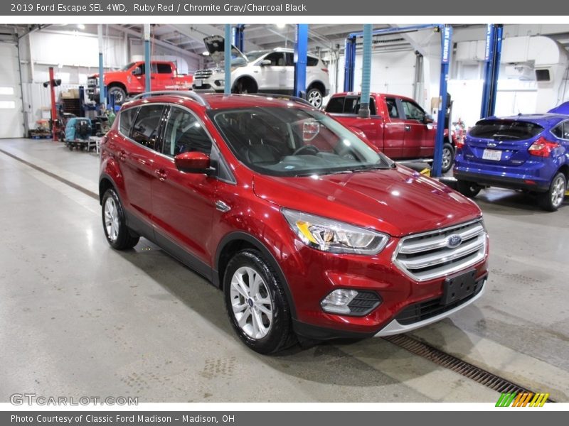 Ruby Red / Chromite Gray/Charcoal Black 2019 Ford Escape SEL 4WD