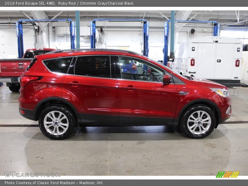 Ruby Red / Chromite Gray/Charcoal Black 2019 Ford Escape SEL 4WD