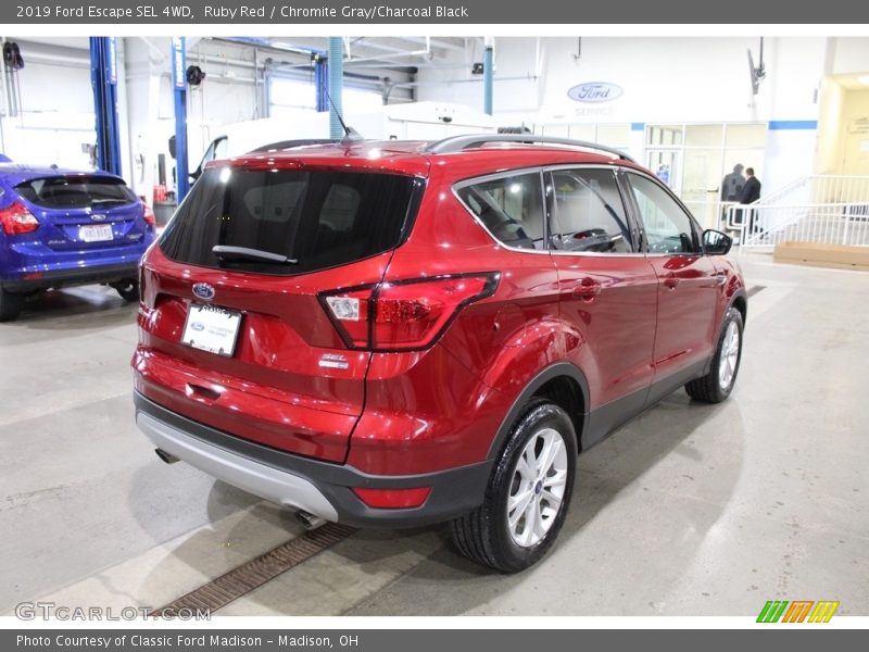 Ruby Red / Chromite Gray/Charcoal Black 2019 Ford Escape SEL 4WD