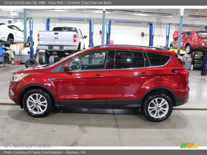 Ruby Red / Chromite Gray/Charcoal Black 2019 Ford Escape SEL 4WD