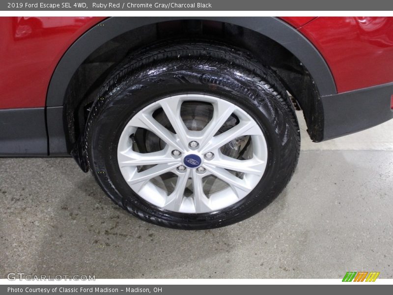 Ruby Red / Chromite Gray/Charcoal Black 2019 Ford Escape SEL 4WD