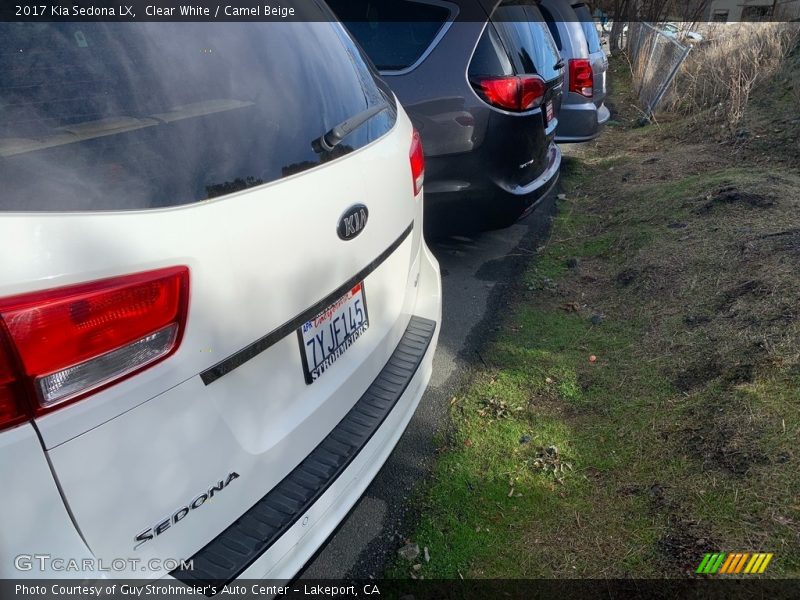 Clear White / Camel Beige 2017 Kia Sedona LX