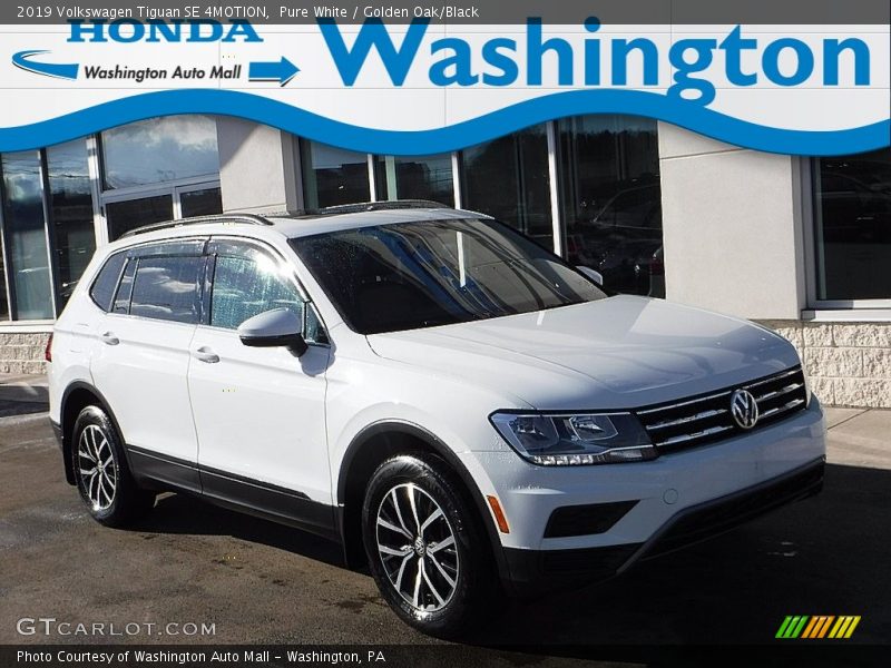 Pure White / Golden Oak/Black 2019 Volkswagen Tiguan SE 4MOTION