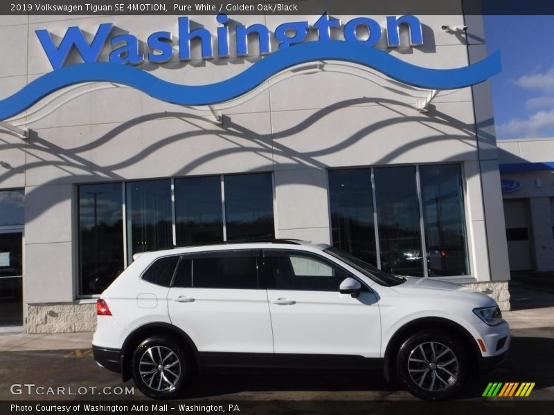 Pure White / Golden Oak/Black 2019 Volkswagen Tiguan SE 4MOTION