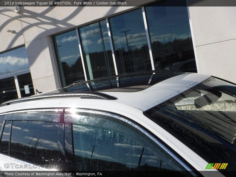 Pure White / Golden Oak/Black 2019 Volkswagen Tiguan SE 4MOTION