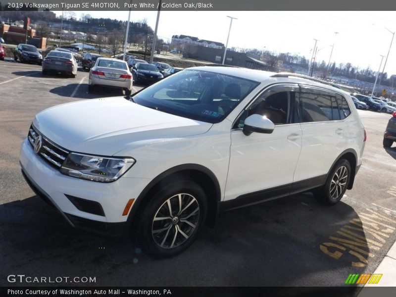 Pure White / Golden Oak/Black 2019 Volkswagen Tiguan SE 4MOTION