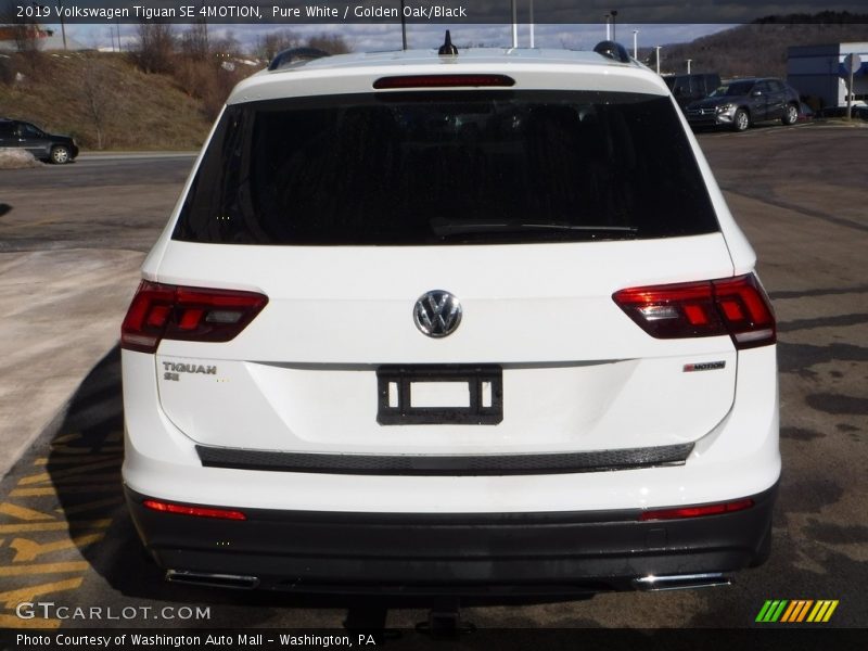 Pure White / Golden Oak/Black 2019 Volkswagen Tiguan SE 4MOTION
