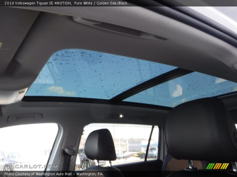 Pure White / Golden Oak/Black 2019 Volkswagen Tiguan SE 4MOTION