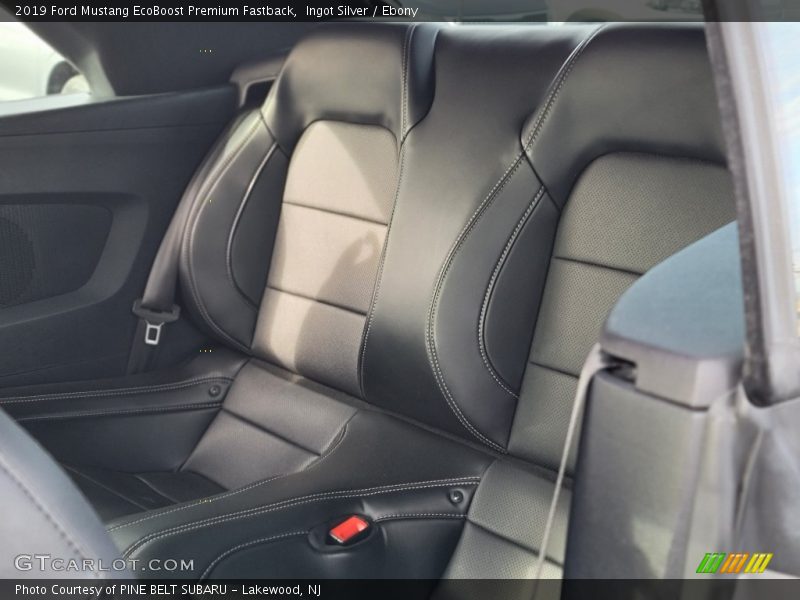 Ingot Silver / Ebony 2019 Ford Mustang EcoBoost Premium Fastback