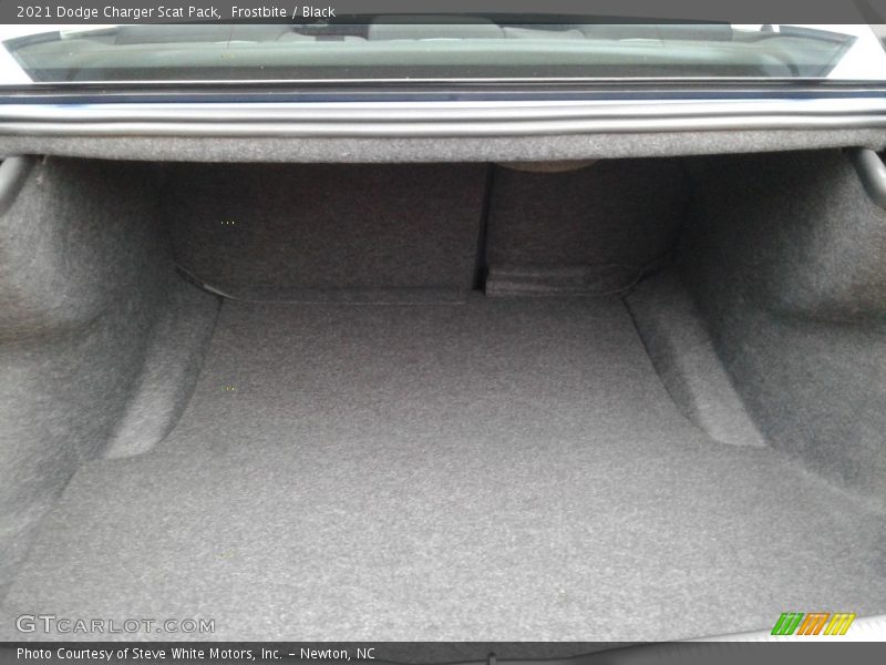 Frostbite / Black 2021 Dodge Charger Scat Pack