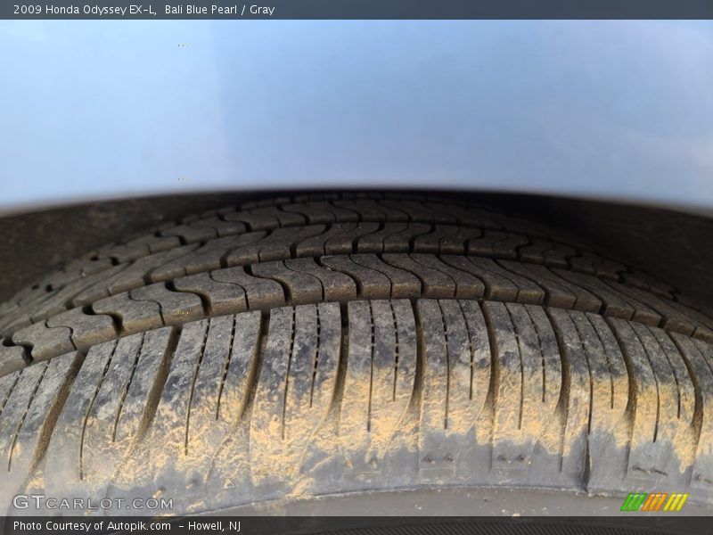 Bali Blue Pearl / Gray 2009 Honda Odyssey EX-L