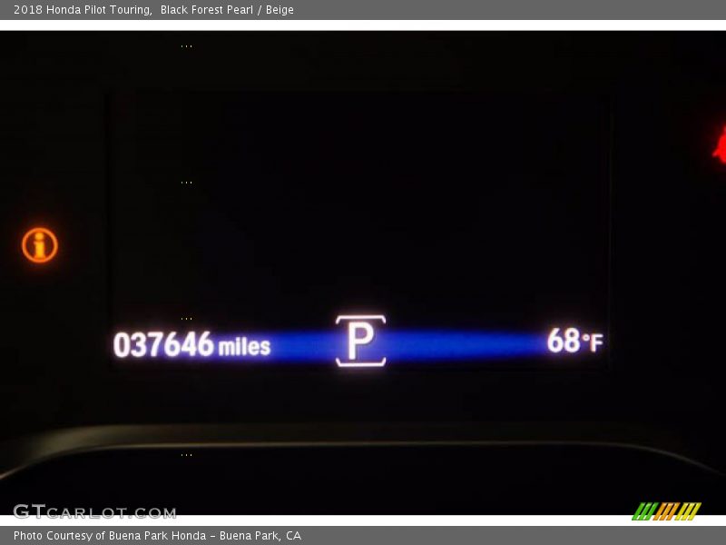 Black Forest Pearl / Beige 2018 Honda Pilot Touring