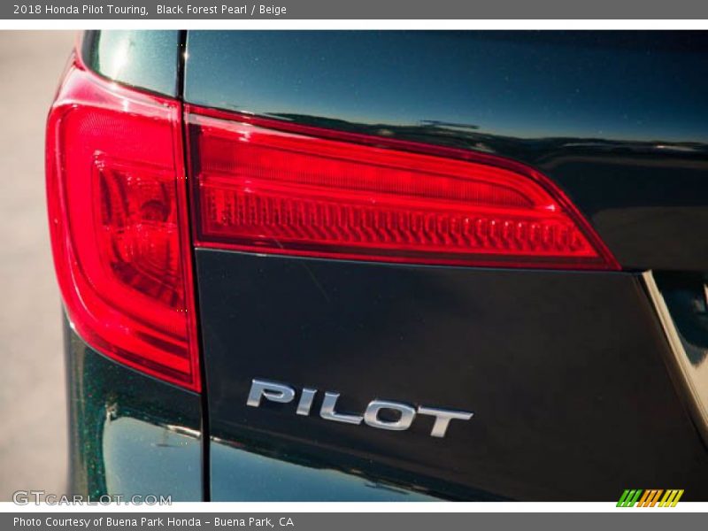  2018 Pilot Touring Logo