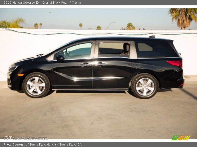 Crystal Black Pearl / Mocha 2019 Honda Odyssey EX