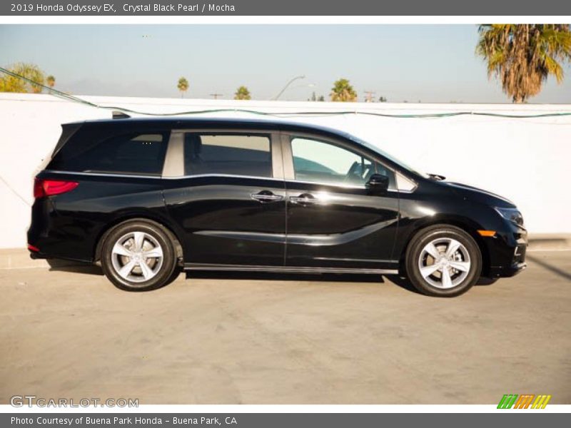 Crystal Black Pearl / Mocha 2019 Honda Odyssey EX