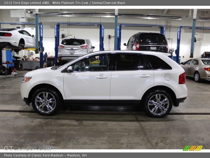 White Platinum Tri-Coat / Sienna/Charcoal Black 2013 Ford Edge Limited AWD