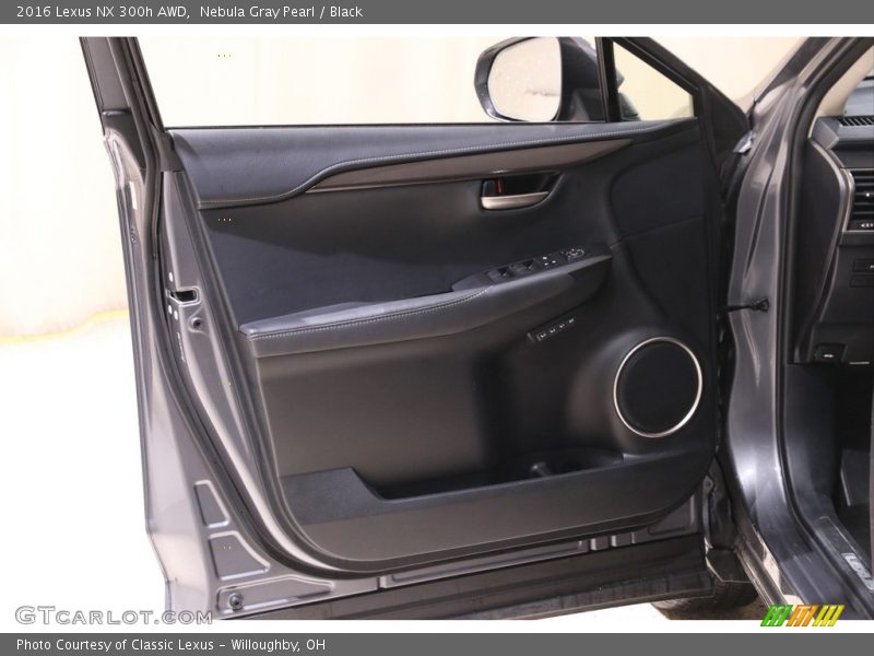 Door Panel of 2016 NX 300h AWD