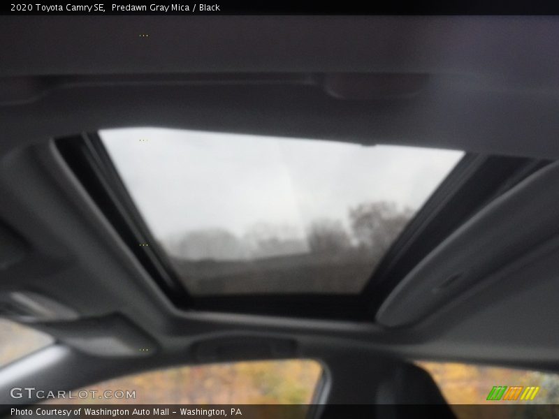 Predawn Gray Mica / Black 2020 Toyota Camry SE