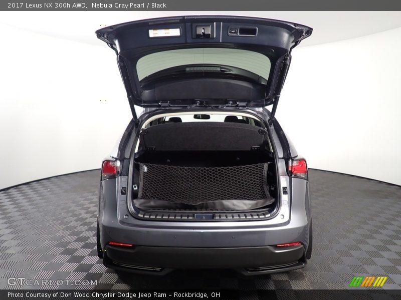 Nebula Gray Pearl / Black 2017 Lexus NX 300h AWD