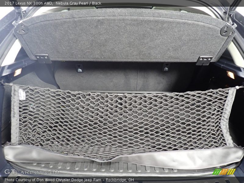 Nebula Gray Pearl / Black 2017 Lexus NX 300h AWD