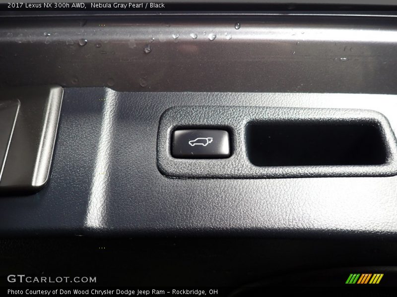 Nebula Gray Pearl / Black 2017 Lexus NX 300h AWD
