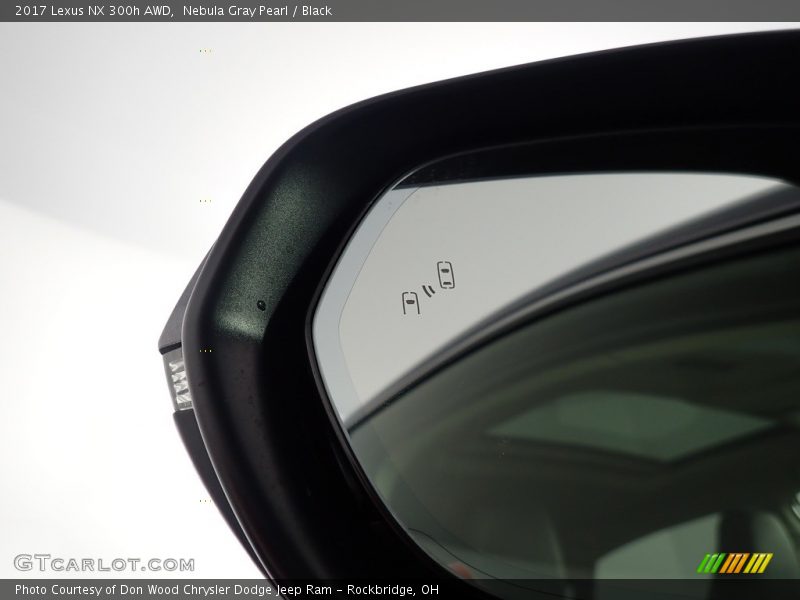 Nebula Gray Pearl / Black 2017 Lexus NX 300h AWD