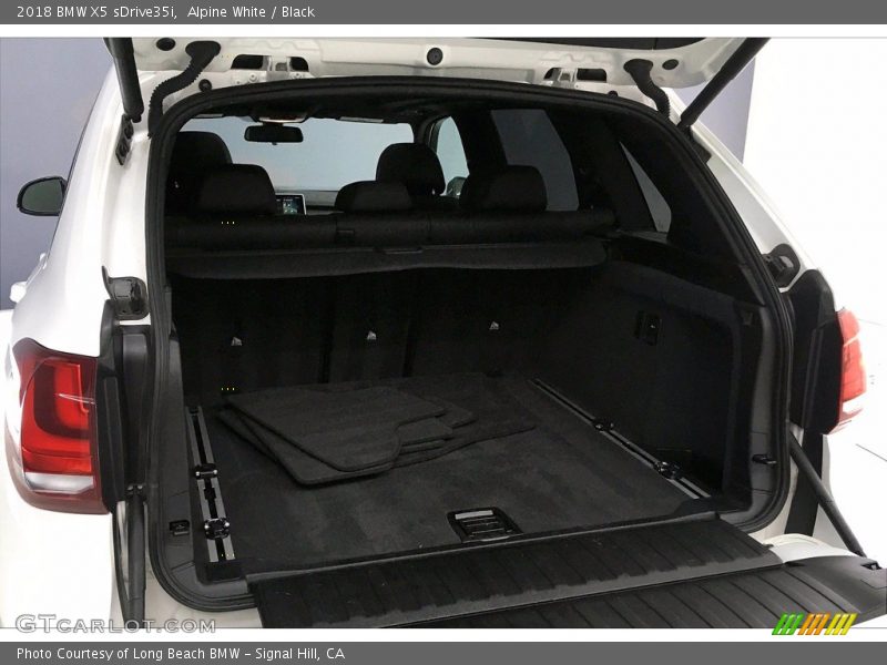 Alpine White / Black 2018 BMW X5 sDrive35i