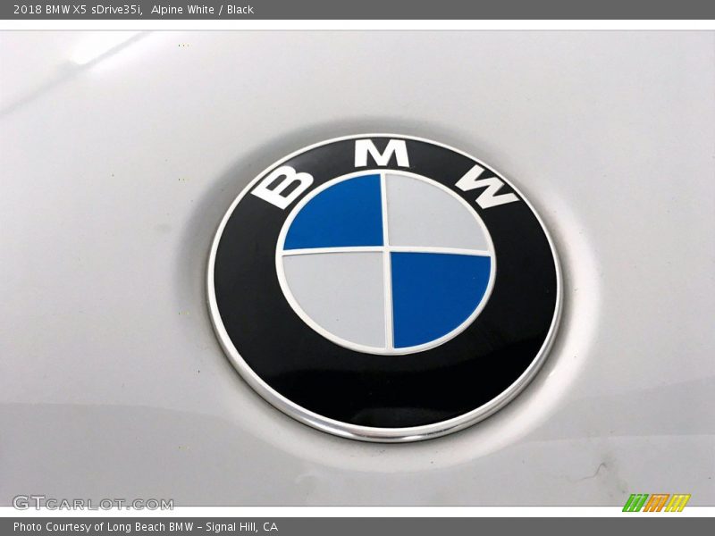 Alpine White / Black 2018 BMW X5 sDrive35i