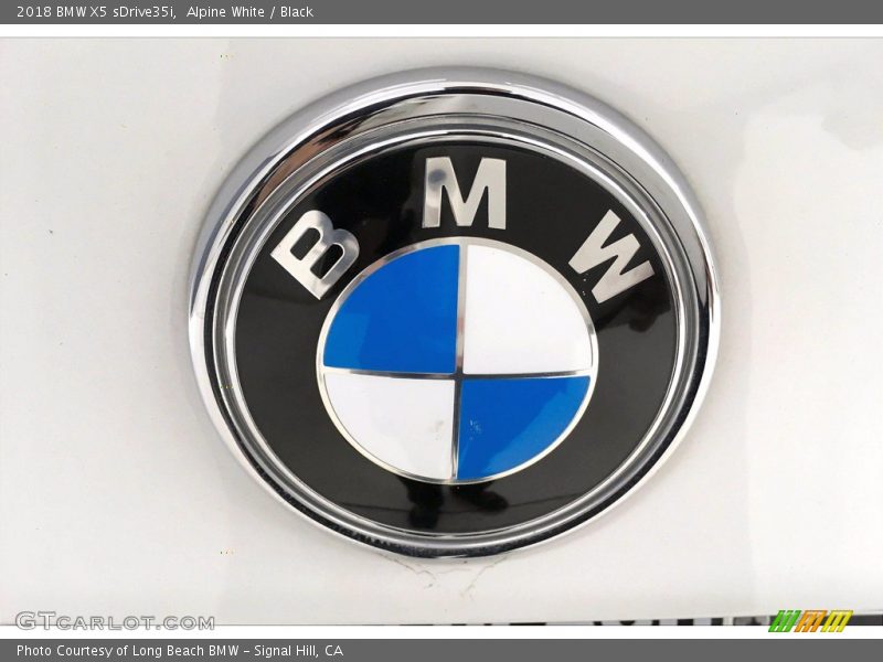 Alpine White / Black 2018 BMW X5 sDrive35i