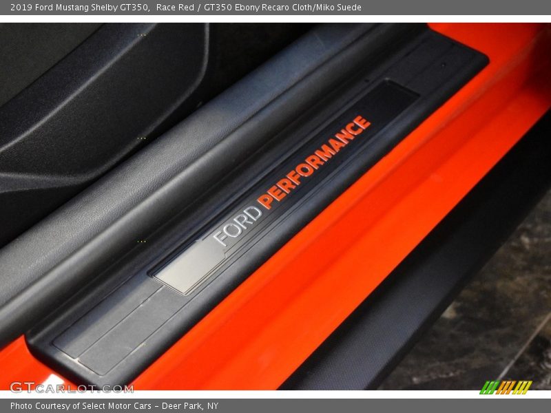  2019 Mustang Shelby GT350 Logo