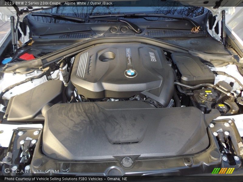 Alpine White / Oyster/Black 2019 BMW 2 Series 230i Coupe