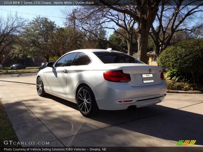 Alpine White / Oyster/Black 2019 BMW 2 Series 230i Coupe