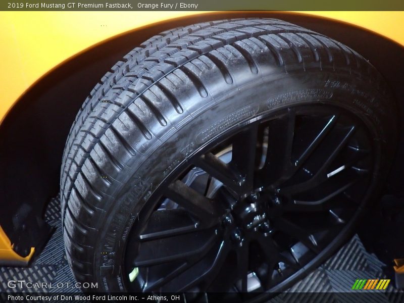 Orange Fury / Ebony 2019 Ford Mustang GT Premium Fastback