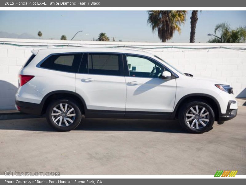 White Diamond Pearl / Black 2019 Honda Pilot EX-L