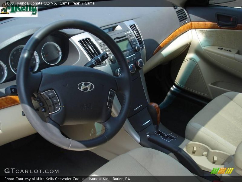 Camel Pearl / Camel 2009 Hyundai Sonata GLS V6