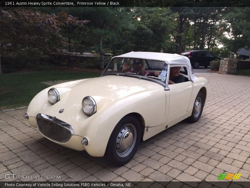 Primrose Yellow / Black 1961 Austin Healey Sprite Convertible