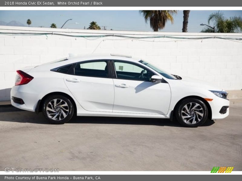 White Orchid Pearl / Black 2018 Honda Civic EX Sedan