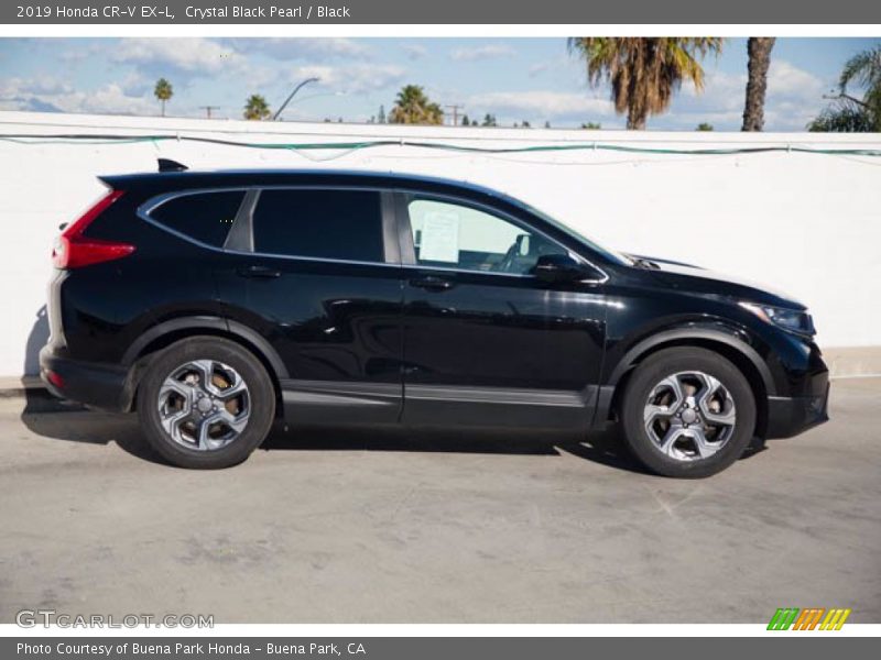 Crystal Black Pearl / Black 2019 Honda CR-V EX-L