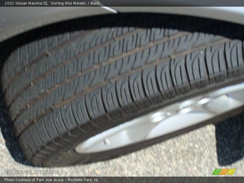 Sterling Mist Metallic / Black 2002 Nissan Maxima SE
