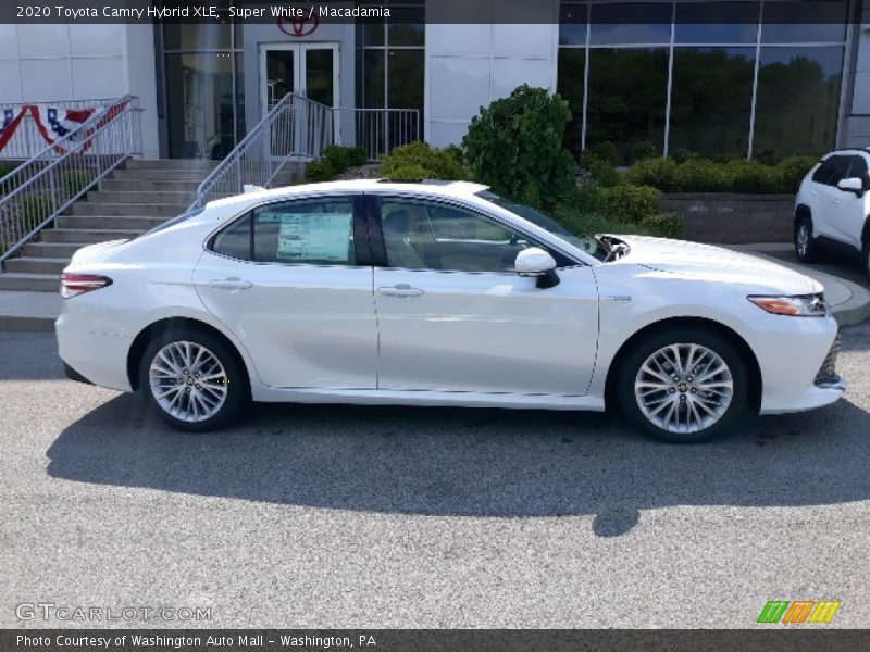 Super White / Macadamia 2020 Toyota Camry Hybrid XLE