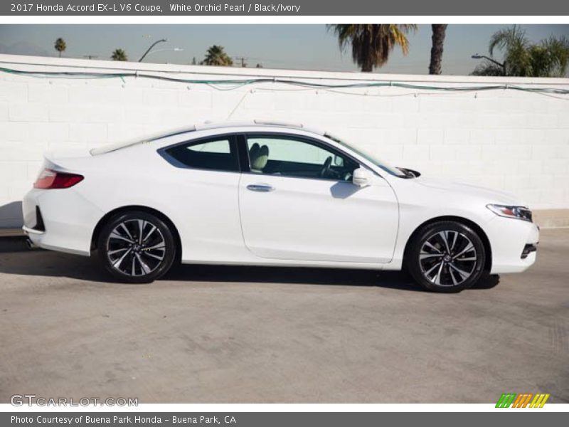 White Orchid Pearl / Black/Ivory 2017 Honda Accord EX-L V6 Coupe