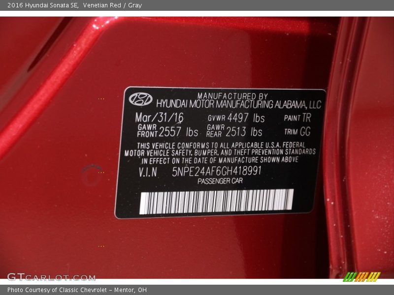 Venetian Red / Gray 2016 Hyundai Sonata SE