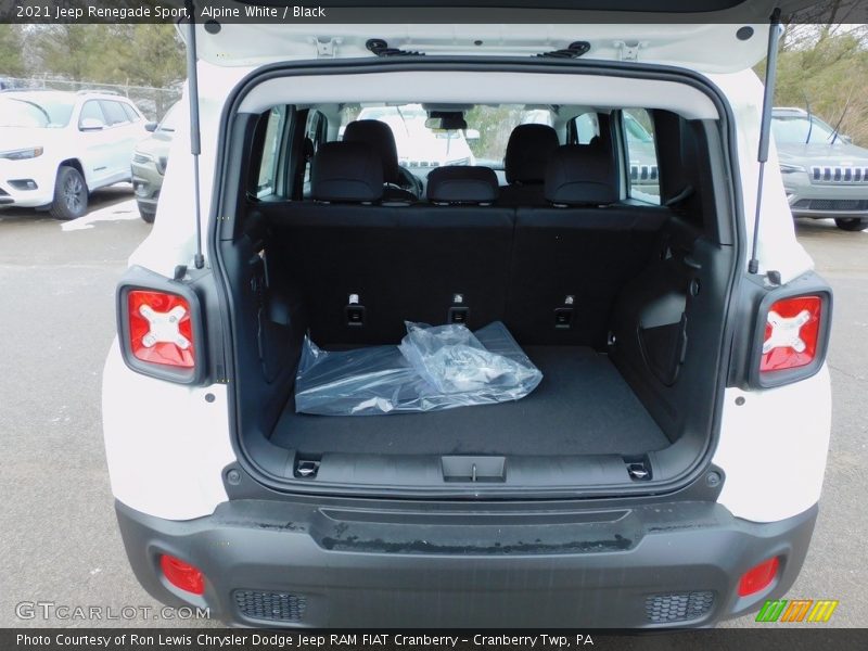 Alpine White / Black 2021 Jeep Renegade Sport