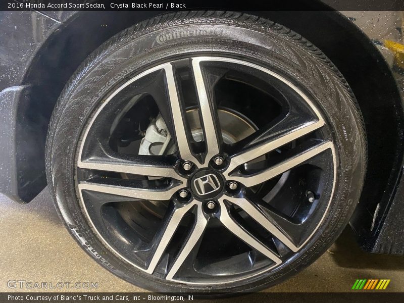 Crystal Black Pearl / Black 2016 Honda Accord Sport Sedan