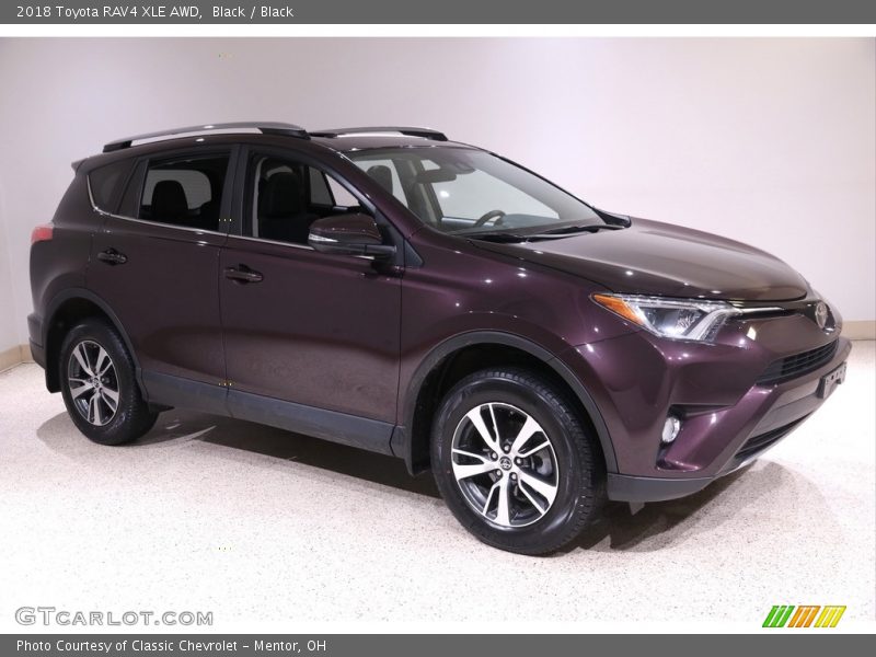 Black / Black 2018 Toyota RAV4 XLE AWD