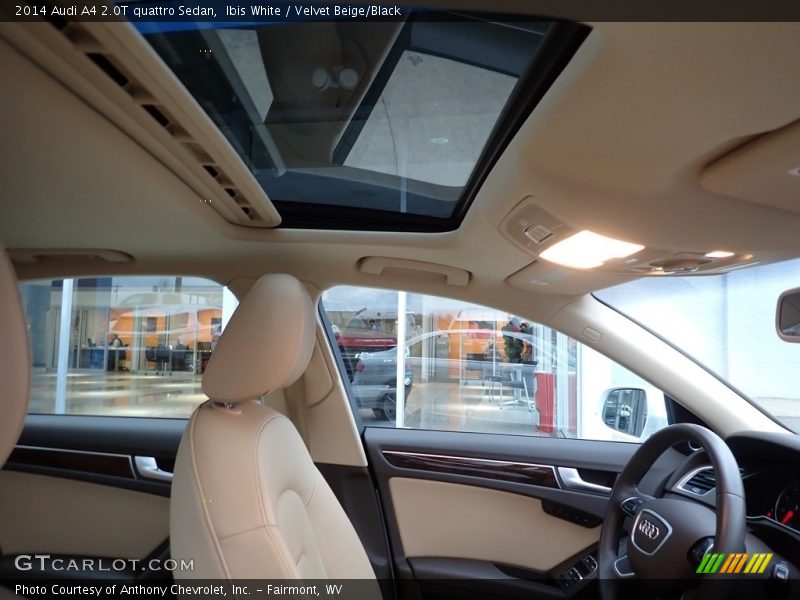 Ibis White / Velvet Beige/Black 2014 Audi A4 2.0T quattro Sedan