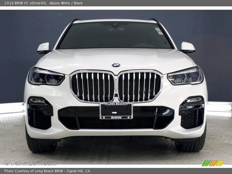 Alpine White / Black 2019 BMW X5 xDrive40i