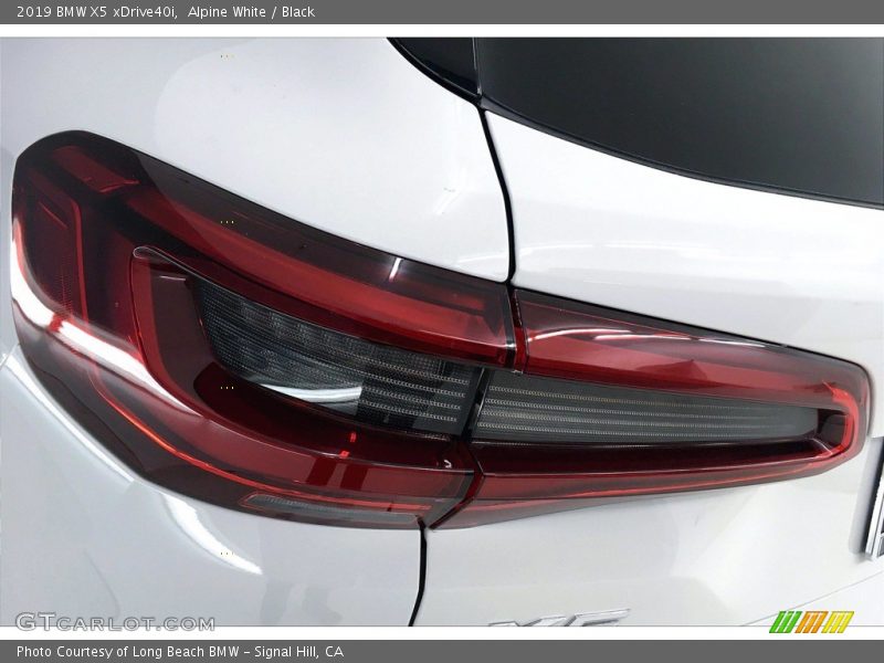 Alpine White / Black 2019 BMW X5 xDrive40i