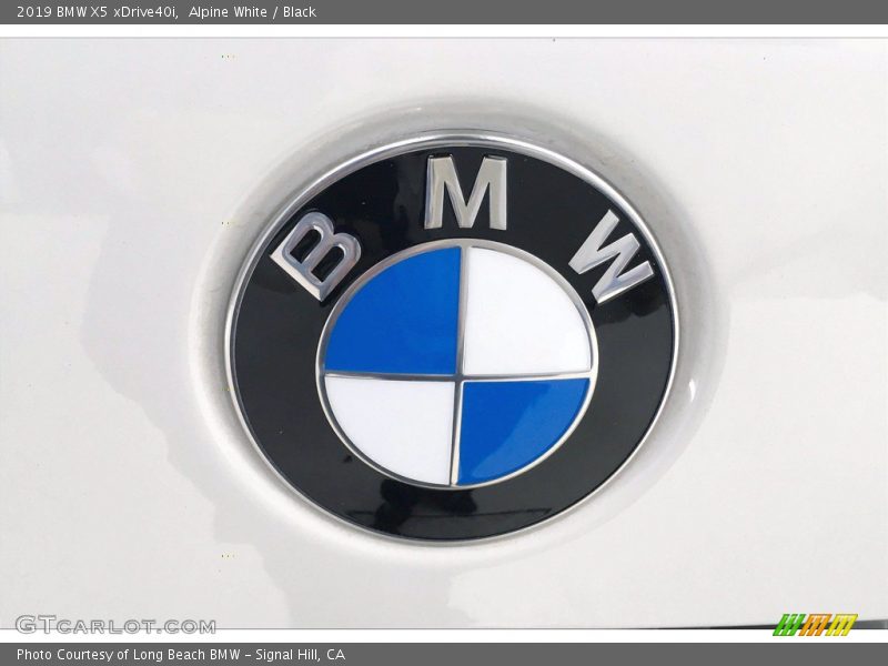 Alpine White / Black 2019 BMW X5 xDrive40i